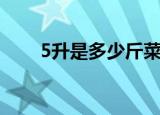 5升是多少斤菜籽油（5升是多少斤）