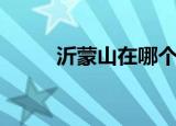 沂蒙山在哪个地方（沂蒙山在哪）