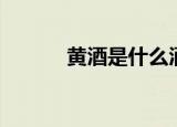 黄酒是什么酒（黄酒是什么酒）