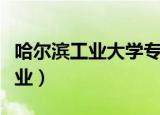 哈尔滨工业大学专业评级（哈尔滨工业大学专业）