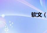 软文（软文的意思）
