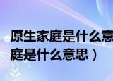 原生家庭是什么意思比较通俗一点的（原生家庭是什么意思）