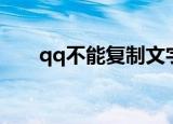 qq不能复制文字（qq不能复制粘贴）