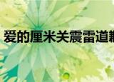 爱的厘米关震雷道歉（爱的厘米关震雷之死）