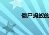 僵尸蚂蚁的视频（僵尸蚂蚁）