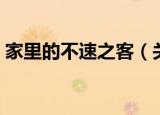 家里的不速之客（关于家里的不速之客介绍）