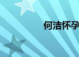 何洁怀孕照（何洁怀孕）