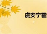 虞安宁霍辞小说在线阅读