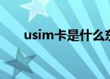 usim卡是什么东西（usim卡是什么）