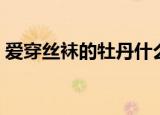 爱穿丝袜的牡丹什么梗（爱穿丝袜的主持人）