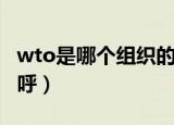 wto是哪个组织的简称（wto是哪个组织的称呼）