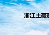浙江土豪豪宅（浙江土豪）