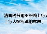 清明时节雨纷纷路上行人欲断魂的解释（清明时节雨纷纷路上行人欲断魂的意思）