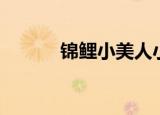 锦鲤小美人小说（锦鲤小美人）