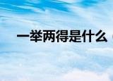 一举两得是什么（一举两得是什么动物）