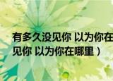 有多久没见你 以为你在哪里 原来就住在我心底（有多久没见你 以为你在哪里）