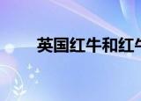 英国红牛和红牛的区别（英国红牛）