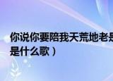 你说你要陪我天荒地老是哪首歌词（你说你要陪我天荒地老是什么歌）