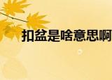 扣盆是啥意思啊（kp是啥意思是什么）