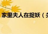家里夫人在捉妖（关于家里夫人在捉妖介绍）