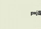 pxj是什么意思？