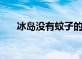 冰岛没有蚊子的原因（冰岛没有蚊子）