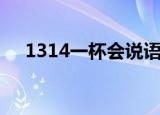 1314一杯会说语的茶（1314一生一世）