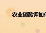 农业硝酸钾如何提纯（农业硝酸钾）