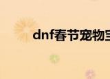 dnf春节宠物宝珠（dnf春节宠物）