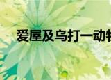 爱屋及乌打一动物（爱屋及乌打一生肖）