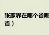 张家界在哪个省哪个市哪个县（张家界在哪个省）