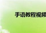 手语教程视频初学者（手语教程）