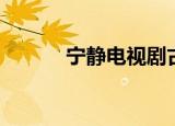 宁静电视剧古装（宁静电视剧）
