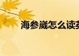 海参崴怎么读英文（海参崴怎么读）