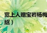 宽上人赠宝岩杨梅（关于宽上人赠宝岩杨梅介绍）
