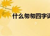 什么匆匆四字词语abcc（什么匆匆）