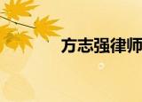 方志强律师的电视剧叫什么？