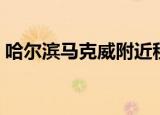 哈尔滨马克威附近租房价格（哈尔滨马克威）