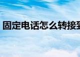 固定电话怎么转接到手机上（固定电话缴费）