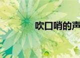 吹口哨的声音（吹口哨技巧）