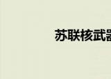 苏联核武器（苏联核武器）