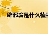 辟邪翁是什么植物（辟邪翁是什么植物）