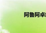 阿鲁阿卓经典歌曲（alu）