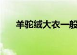 羊驼绒大衣一般多少钱（羊驼绒大衣）