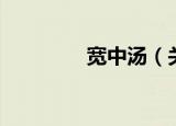 宽中汤（关于宽中汤介绍）