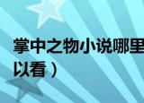 掌中之物小说哪里下载（掌中之物小说哪里可以看）