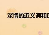 深情的近义词和反义词（深情的近义词）