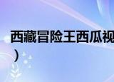 西藏冒险王西瓜视频账号（西藏冒险王被谋杀）