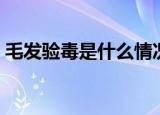 毛发验毒是什么情况（毛发验毒是什么意思）