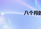 八个月的宝宝能吃什么